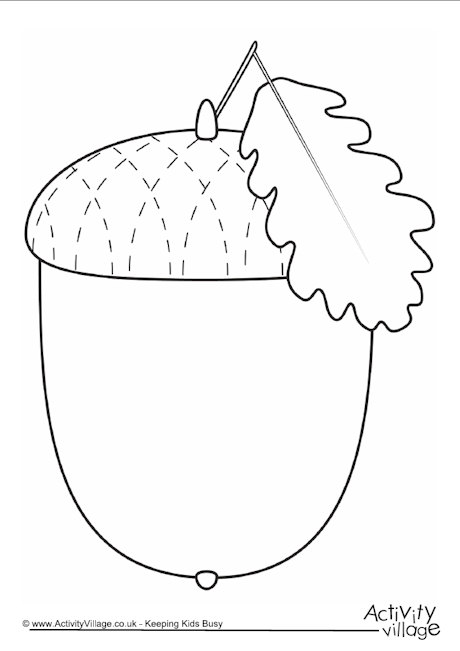 Acorn writing frame