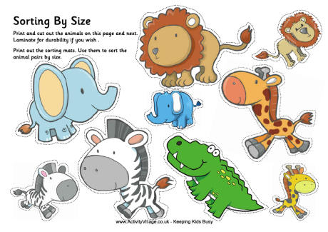 African animal sorting big and small