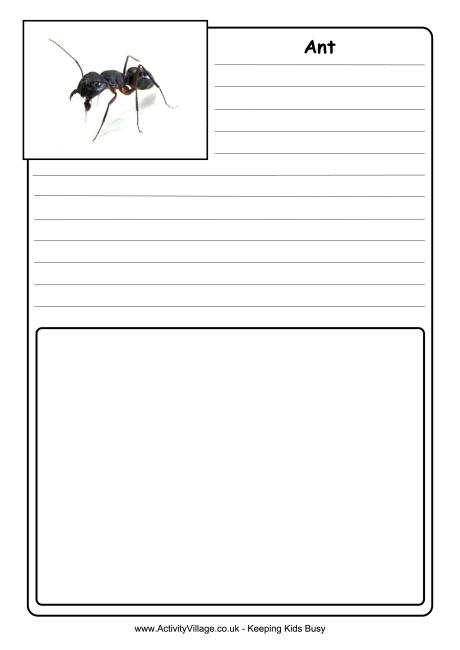 Ant notebooking page