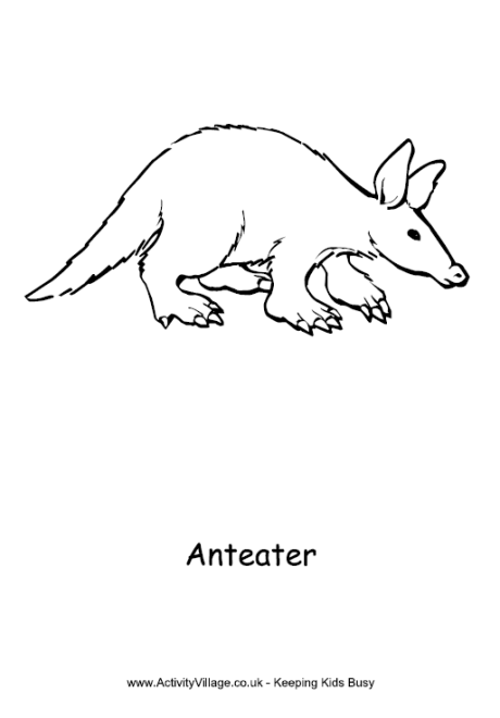 Anteater colouring page