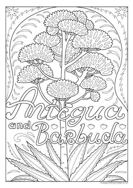 Antigua and Barbuda National Flower Colouring Page