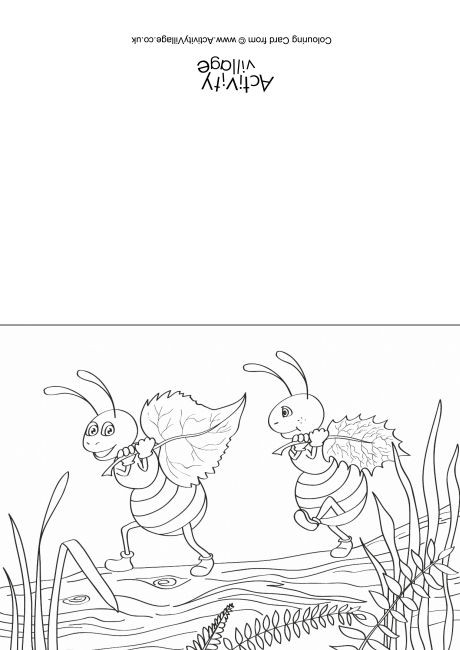 Ants Scene Colouring Card