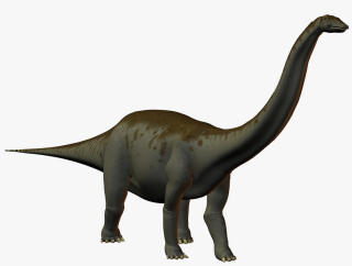 Apatosaurus