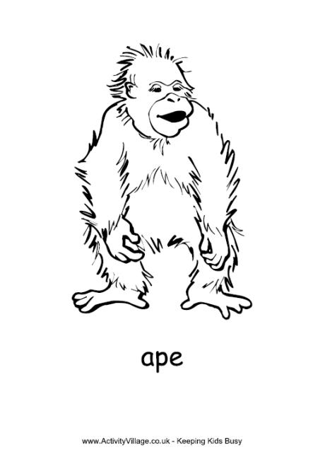 Ape colouring page