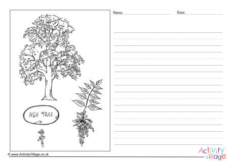 Ash Tree Story Paper