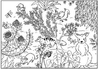 Australian animals colouring pages