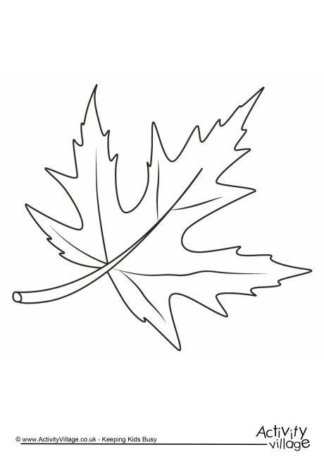 Autumn leaf colouring page 1