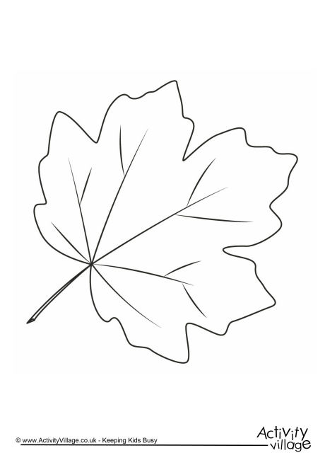 Autumn leaf colouring page 3