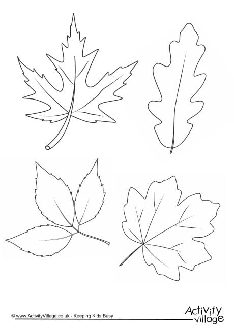 Autumn Leaves Colouring Page