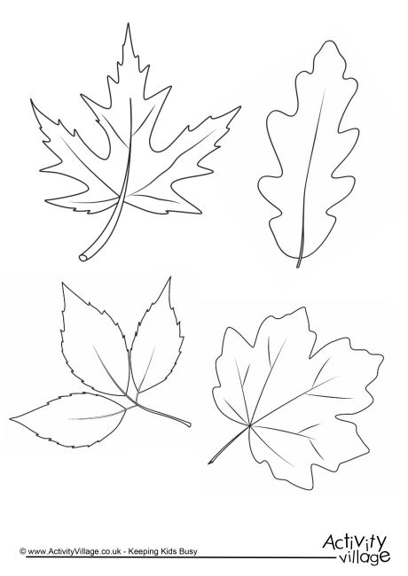 Autumn Leaves Colouring Page