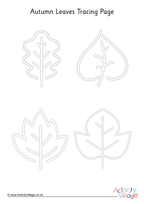 Acorn Leaves Tracing Page