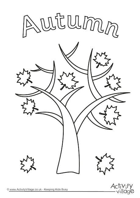 Download Autumn Tree Colouring Page