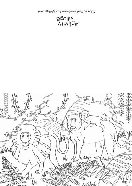 Baboons Scene Colouring Card