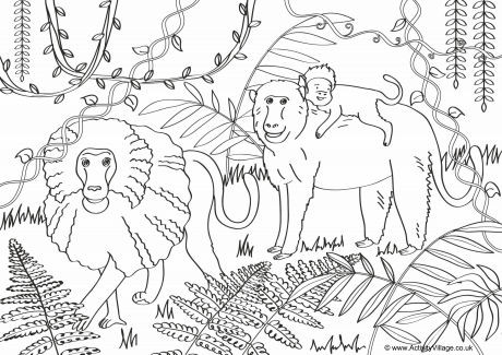 Baboons Scene Colouring Page