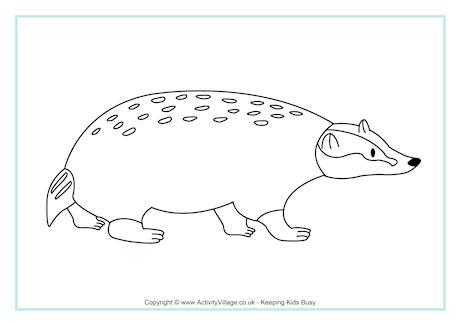 Badger colouring page 2