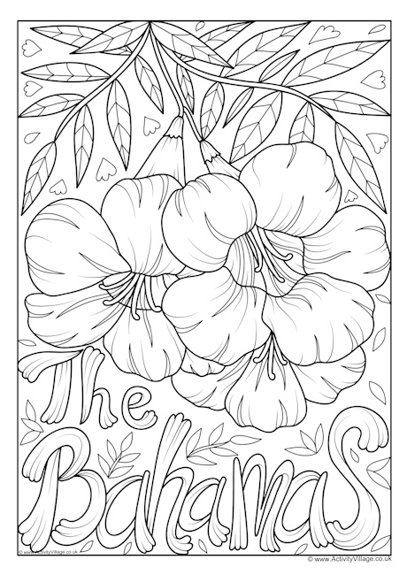Bahamas National Flower Colouring Page