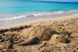 Beach Games and Activities