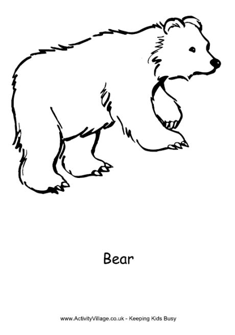 Bear colouring page