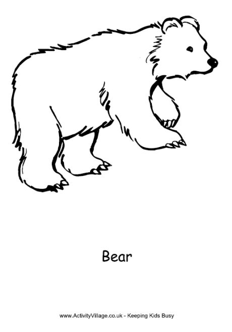 Bear Colouring Page