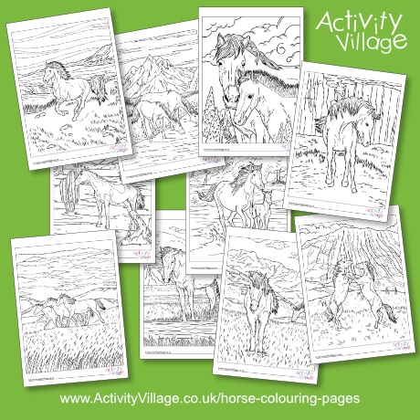 Beautiful horses colouring pages pack 1 Beautiful horses colouring pages pack 1