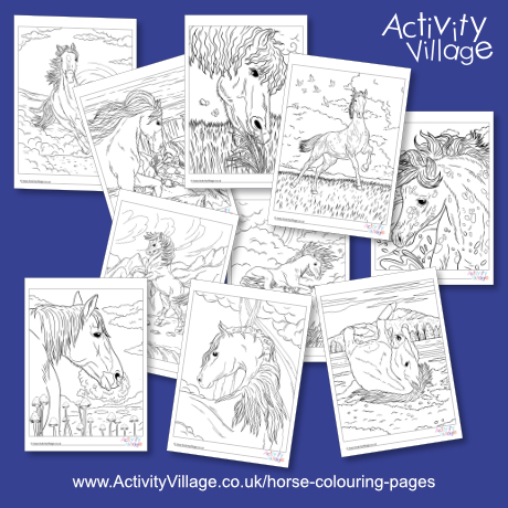 Beautiful horses colouring pages pack 2