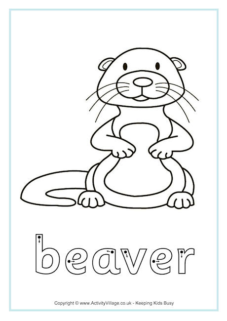 Beaver finger tracing