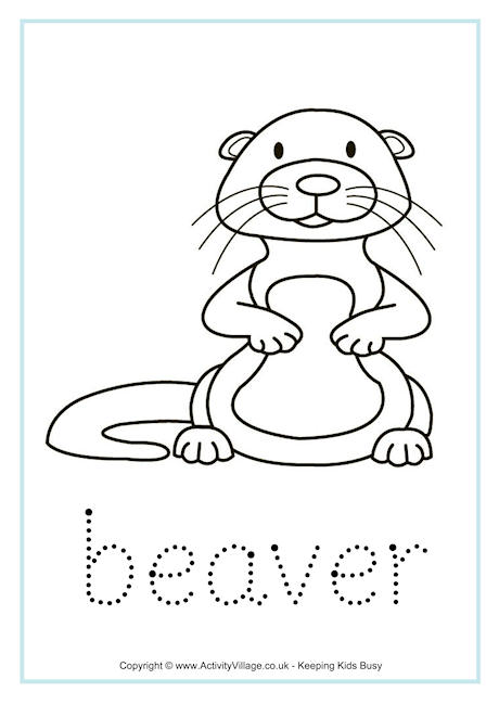 Beaver tracing