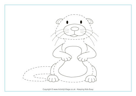 Beaver tracing picture
