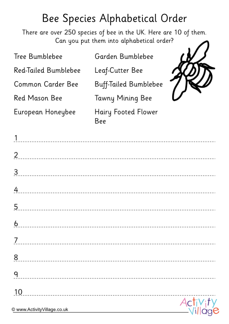 Bee species alphabetical order worksheet