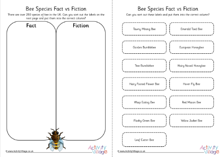 Bee species fact vs fiction