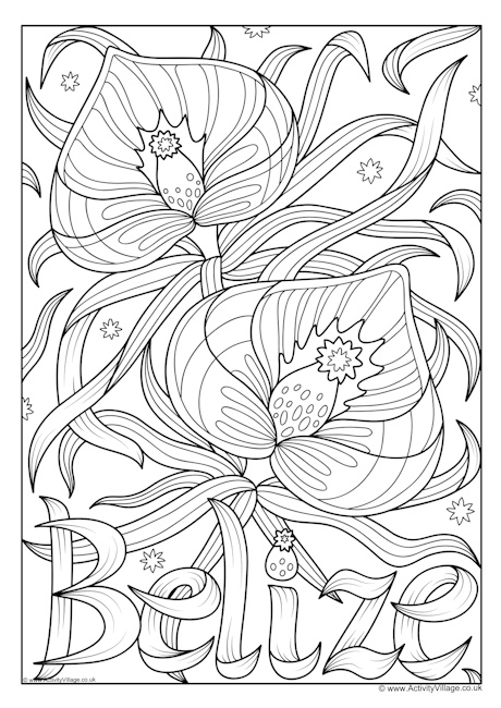 Belize National Flower Colouring Page Belize National Flower Colouring Page