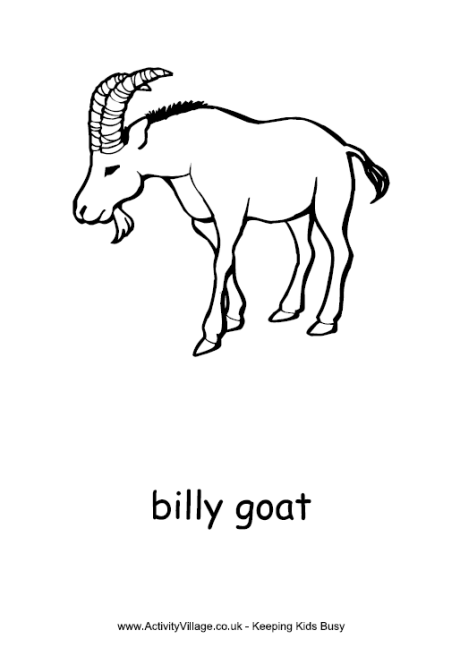 Billy goat colouring page