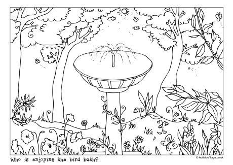 Bird Bath Doodle Page