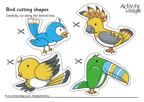 Bird cutting shapes