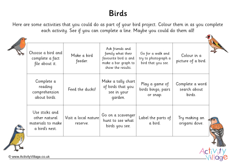 Bird Project Suggested Activities Colour In Sheet Bird Project Suggested Activities Colour In Sheet