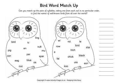Bird word match up