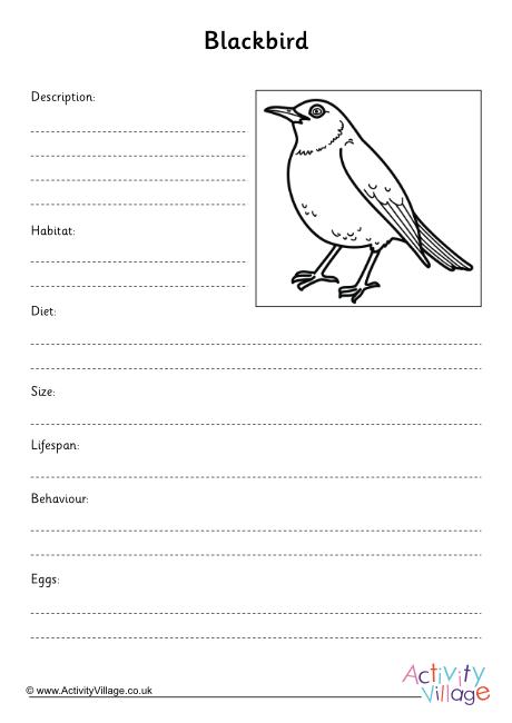 Blackbird fact finding worksheet