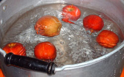 Bobbing for apples