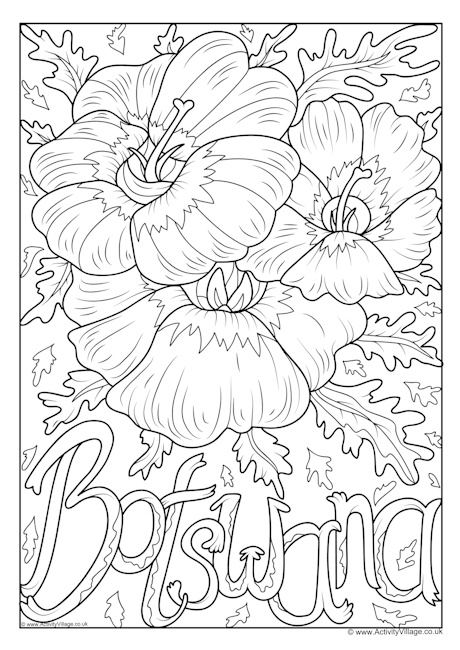 Botswana National Flower Colouring Page Botswana National Flower Colouring Page