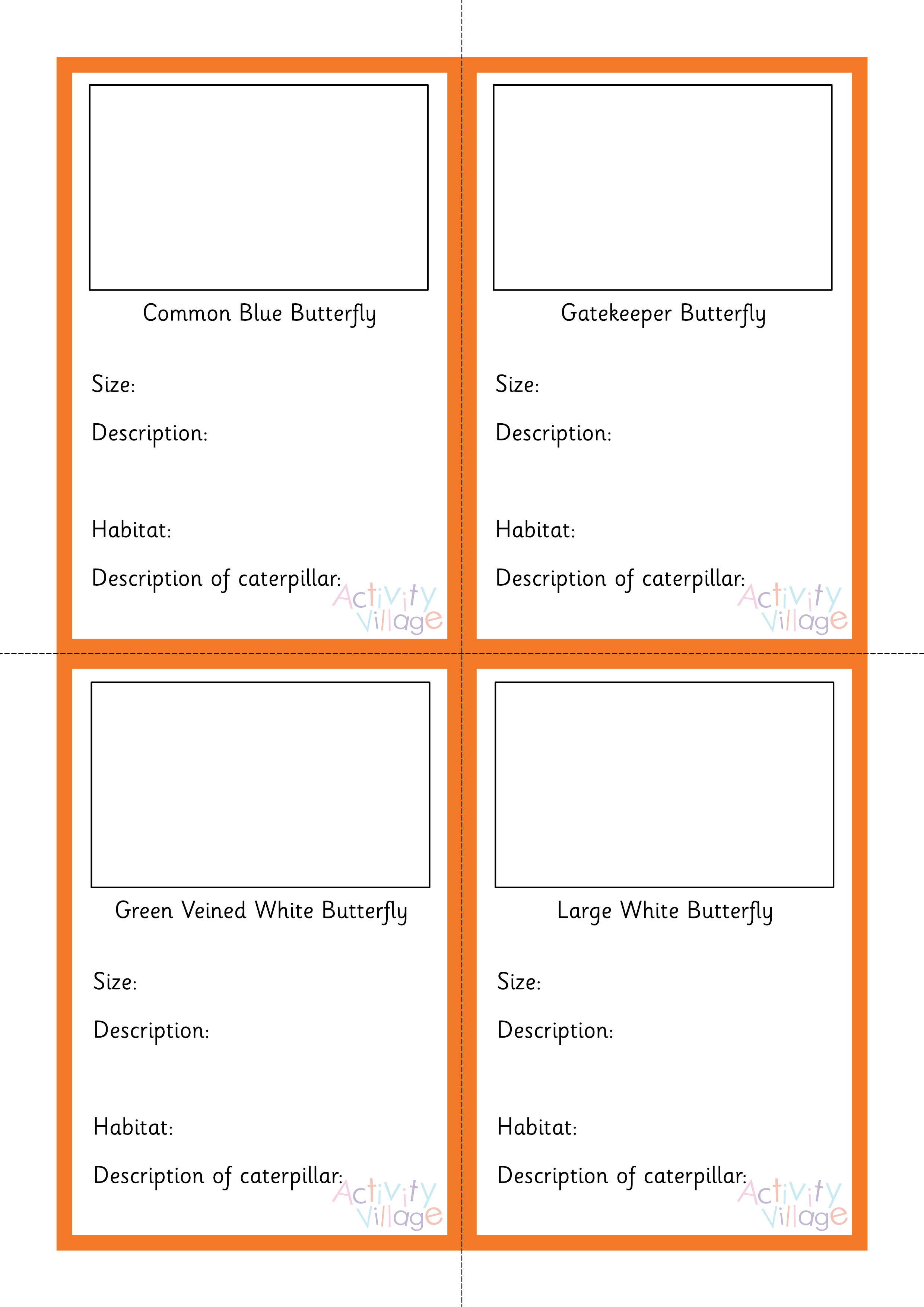 British butterflies flashcards British butterflies flashcards