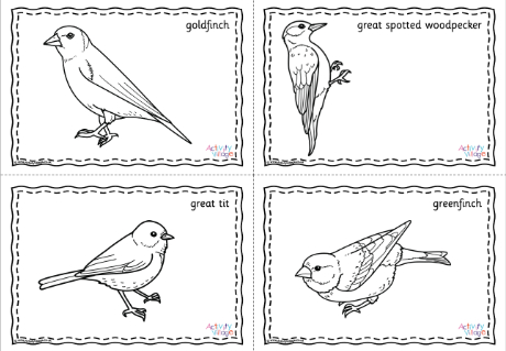 British Garden Birds Colouring Pages British Garden Birds Colouring Pages