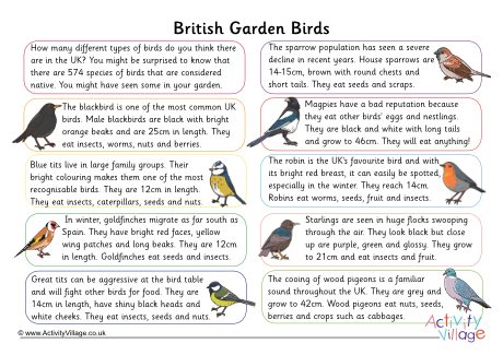 British garden birds comprehension British garden birds comprehension