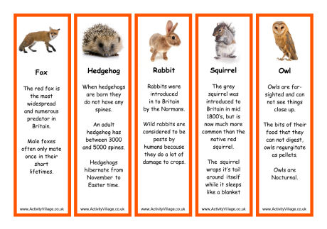 British wildlife animal bookmarks British wildlife animal bookmarks