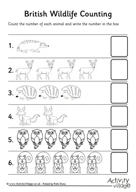 British Wildlife counting 2