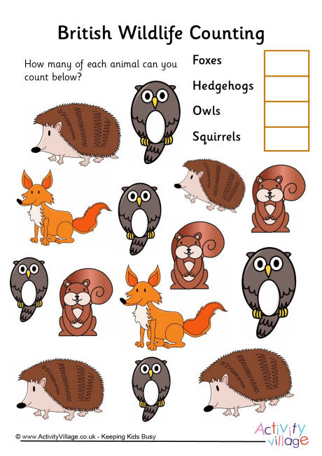British Wildlife counting 3