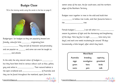 Budgie Cloze
