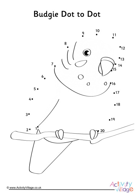 Budgie Dot To Dot