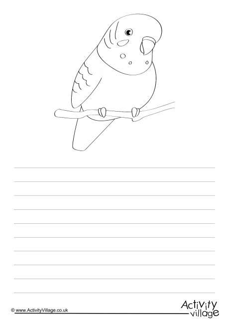 Budgie Story Paper