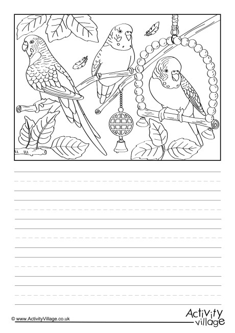 Budgies Scene Story Paper