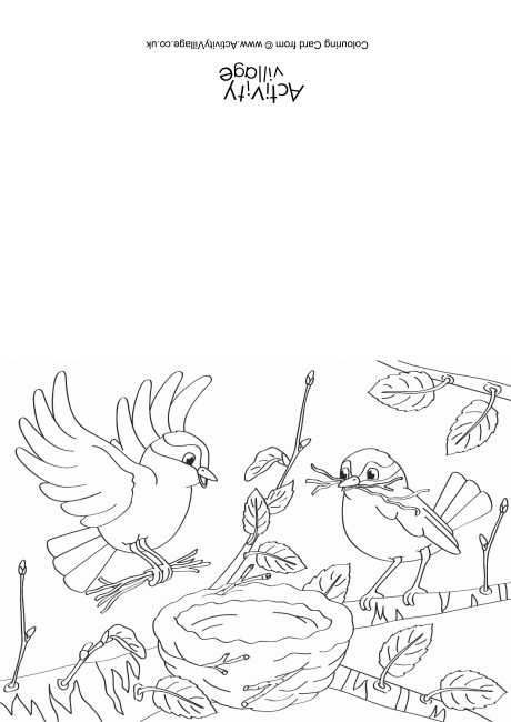Building a Nest Colouring Card